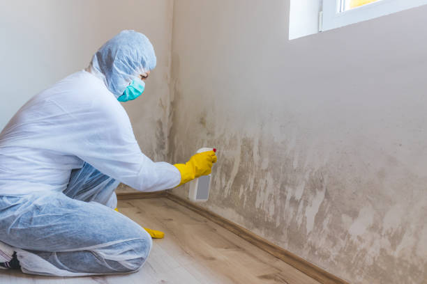 Mold Remediation specialist working in Stewartstown